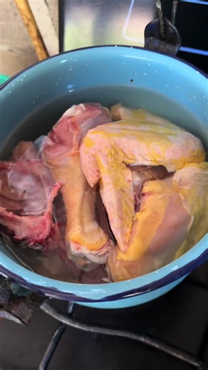 Arroz con Pollito Dorado: Receta Deliciosa