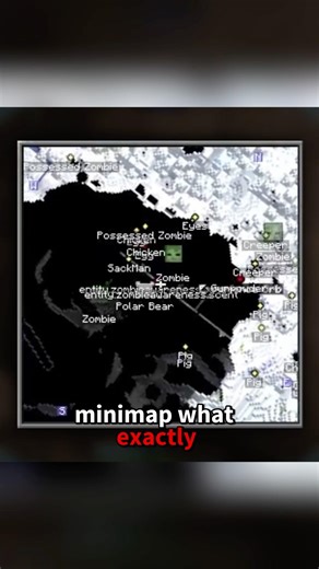 Xaero’s Minimap Mod is Peak!