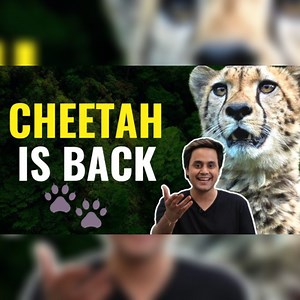 2.1M views · 109K reactions | Cheetah is Back: क्या है इनकी कहानी? #Video #Cheetah #RJRaunak | RJ Raunac | Facebook