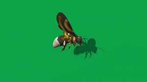 Download Bee flying animation for free