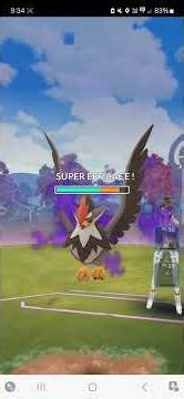 Great league Emolga vs Sierra solo (Feebas/Staraptor/Houndoom) - Pokemon Go #shorts