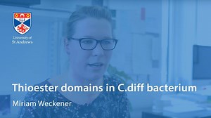 Clostridium difficile more commonly known as C.diff is a bacterium which can infect the bowel and is a major problem for hospitals. C.diff spreads easily, is difficult to eradicate and causes severe infections in patients who have been treated with antibiotics. Miriam Weckener, PhD student and researcher at the University, focuses her work on thioester adhesins in C. diff. Below she discusses her research and the importance of being able to prevent infections caused by it. Discover more about ba