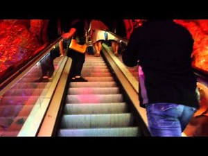 O&K Escalator at The Natural History Museum