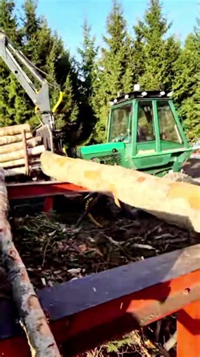 Firewood Process #firewood #logsplitter