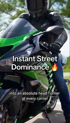 Kawasaki ZX-14R Custom Painted Fairing Kit | Auctmarts