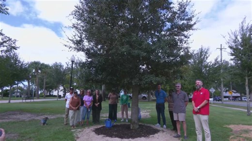 Panama City plants Oak Tree as Symbol of Resilience 7 years after Hurricane Michael