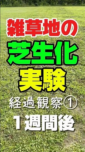 Lawn Conversion Experiment on Weed-Covered Land: Progress Report 1 - Creating an Environment Favo...