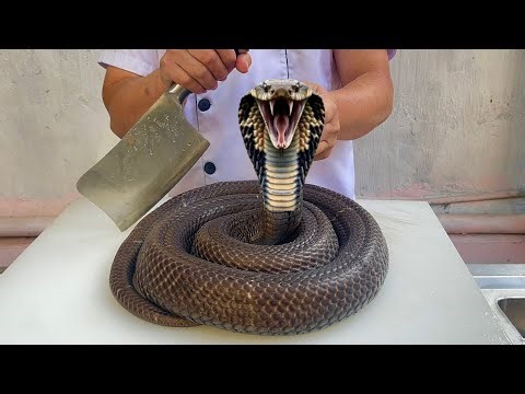 King Cobra. Cobra Hotpot Recipe // Vn Chef