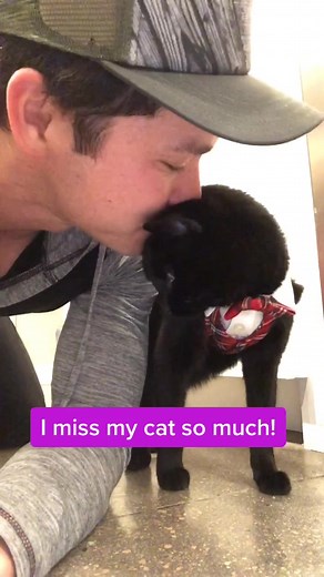 I miss my cat Simon @jjyosh #bff #cat #mycat #foryou #missyou