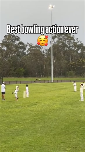 PlayCricket on Instagram: "Need more of these actions in cricket 🙏"