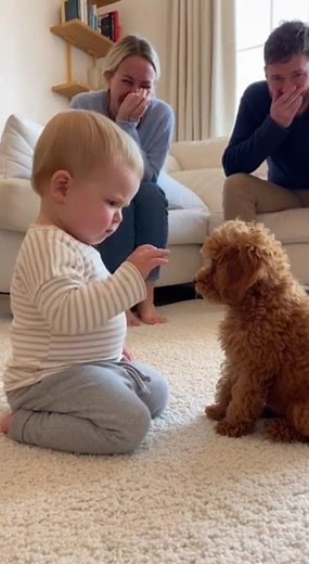 😂 Baby & Puppy Funny “Talking” Battle! Who Wins This Cute Moment? 🐶👶🔥 #funny #baby #puppy #cute