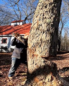 1.4M views · 3.2K reactions | Watch workers have the luckiest moments on the job!  | The Mighty McClures | Facebook