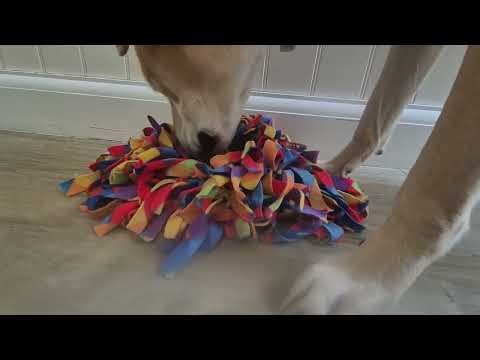 🐶 Snuffle Mat for Dogs | Easy Enrichment to Engage Your Dog’s Nose & Brain
