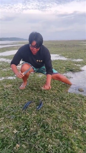 Fast Hands! Catching Fish in the Shallows with a Knife! 🐟🔪
