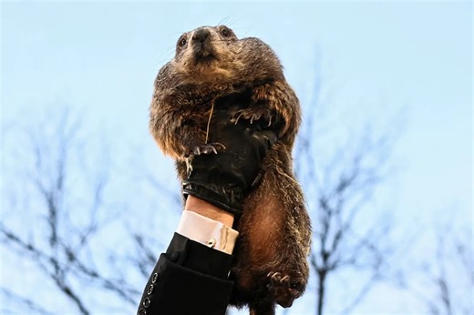 Groundhog Day: What time will Punxsutawney Phil make his prediction?