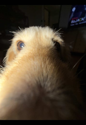 #breaupglowup #of #slovakgirl #fyp #breakup | glowup