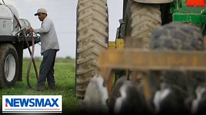 On Thursday's "Wake Up America," farm owners Anne & Dan Manassero of The Original Manassero Farms give us insights into what is happening to farmers in California and Europe. | NEWSMAX