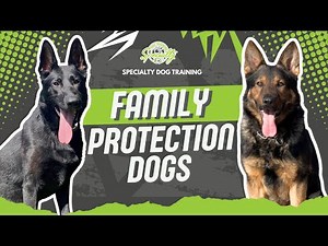 SDT Family Protection Dogs