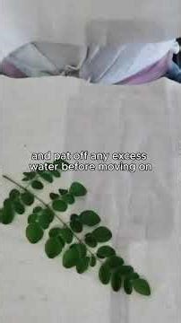 Nature's Print DIY Guide