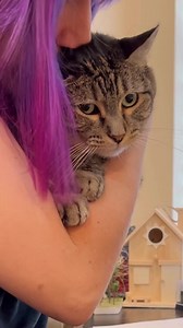 Did she just say I smell musty?! | Aymie And Family