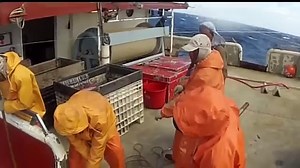 Deep Sea Fishing For Giant Swordfish Fishing Documentary Discovery Channel Full New