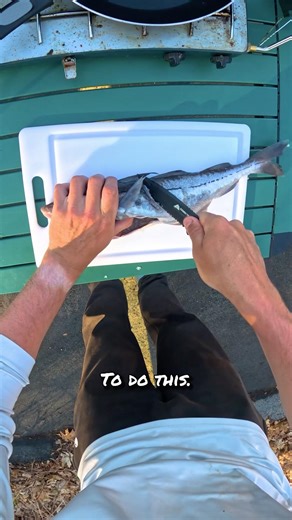The best tasting fish in the ocean?? #fishing #shorts