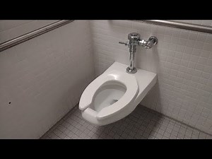 Kohler Kingston Waterguard Toilet Flushing