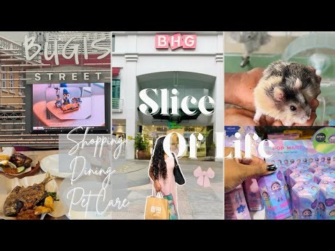 Shopping, Food & Pet Care | Exploring Bugis Shopping Street | Life in Singapore #familyvlog #Hamster