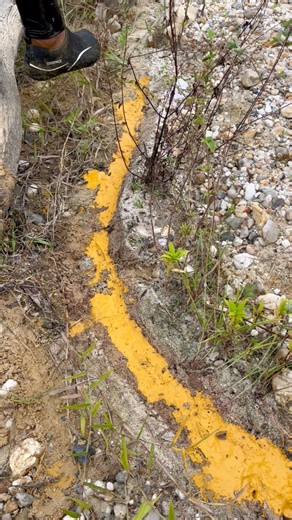 895K views · 4.2K reactions | The process of finding gold | finding gold in bedrock fragments | finding gold nuggets worth $2500 amazing ‼️ #goldhunter #golddiscovery #lookingforgold #goldrush #goldnugget #goldhunter #goldadventure | Adis Saputra | Facebook