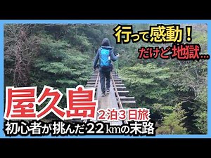 Yakushima Travel Vlog | 3-Day Trekking Guide to Jomon Sugi & Shiratani Unsuikyo (Beginner Friendly)