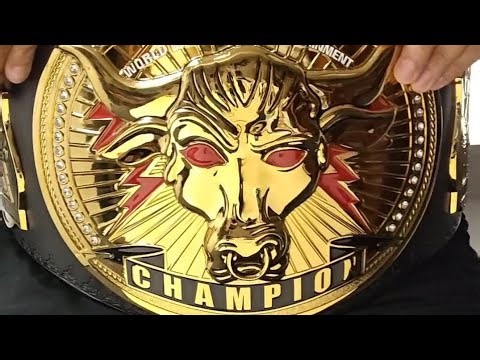 My WWE Brahma Bull Championship Belt Unboxing (2025)