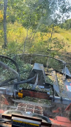 Cut through anything like butter! 🔥 Virnig V40 Open Front Brush Cutter showing real power! 💥 📍 Visit us at Glenmor Equipment, Prince Albert, SK 📞 Call 306-764-2325 🖥️ https://www.glenmor.cc/ #SkidSteer #brushcutter #HeavyEquipment #saskatchewan #farmlife | Glenmor Equipment LP