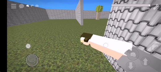 Exploring a Blocky Virtual Environment with First-Person View