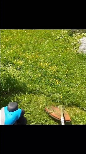 Stihl FS 120 in Action POV Cutting Grass and Weeds #stihl #trimmer #diy #brushcutter #weedeater