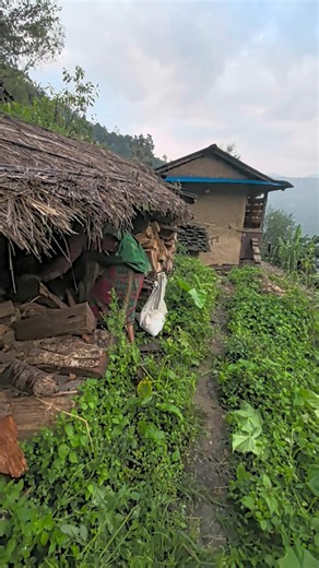 Til Bahadur Gharti Magar (@til.bahadur.ghart5)’s videos with original sound - Til Bahadur Gharti Magar