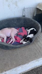 2.3K views · 67 reactions | Update reserviert wartet auf Vorkontrolle...