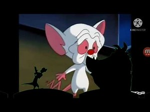 Timon And Pumbaa At The Cinema The Tiger Prince