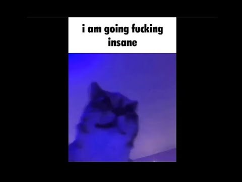 I'm going insane meme