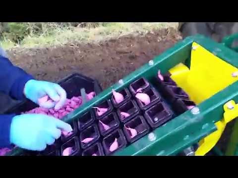 Garmach MGP-3R 3-Row Belt Planter for Bulbs, Onions, Garlic, and Saffron | Precision & Efficiency