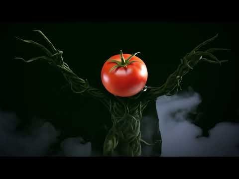 Looking for a killer horror movie? 🍅🔪😱🎥