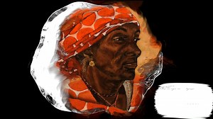 27 reactions · 3 comments | The Kinsey Collection is now open at TAM!...