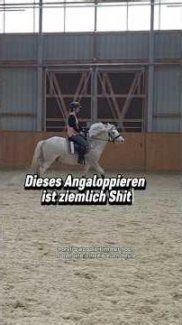 #horse #tinker #equestrian #equestrianjourney #horses #equestrianlife