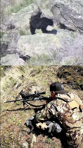 Black Bear Shot with 7mm REM MAG!