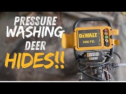 How to PRESSURE WASH a whitetail deer hide