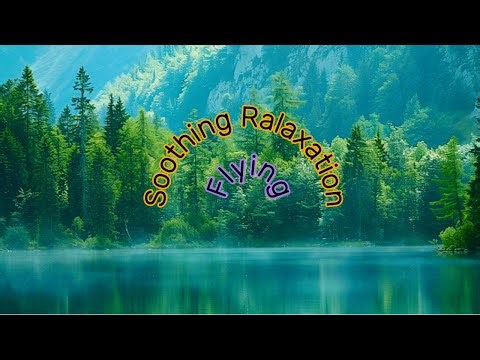 Soothing Relaxing Music for Meditation and Focus || flying ||