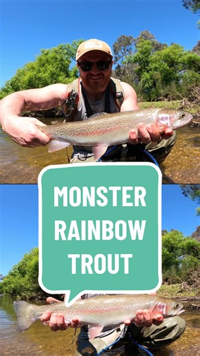 Monster Rainbow Trout Fishing on the Goulburn River