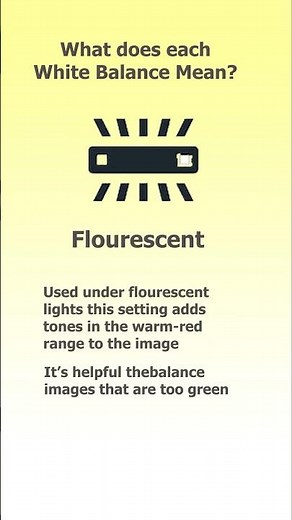 White Balance Explained – Get Perfect Colours Every Time