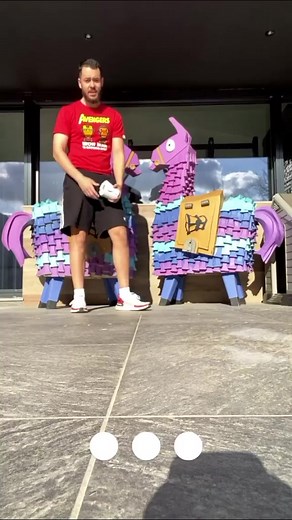 Fun Outdoor Piñata Game with Colorful Llama