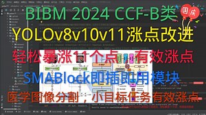 YOLOv11涨点改进 | BIBM 2024 | SMABlock高效涨点即插即用模块，正确使用轻松暴涨11个点，医学图像分割，小目标检测等所有CV任务通用 - 视频下载 Video Downloader