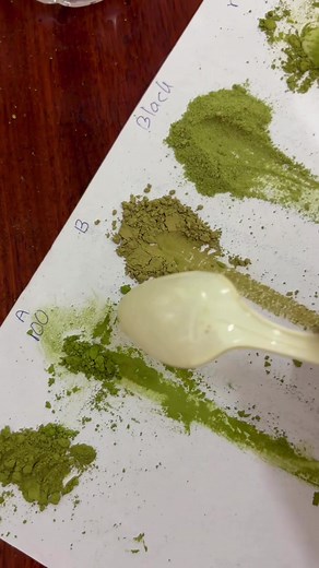 Matcha Testing: Discovering the Best Matcha Powder